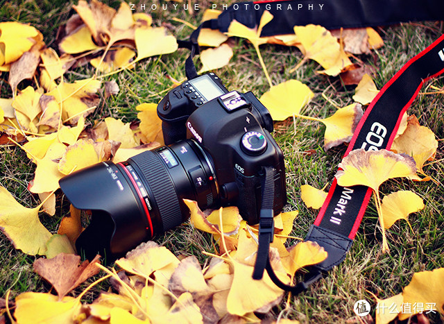 “冷门”神头:Canon 佳能 EF 35mm f/1.4L USM 广角定焦镜头