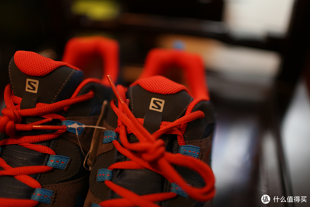 Salomon 萨洛蒙 男款户外防水徒步系带低帮登山鞋 LOMA GTX