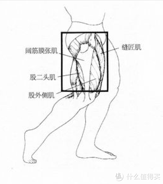 朴实的题目：腿部训练