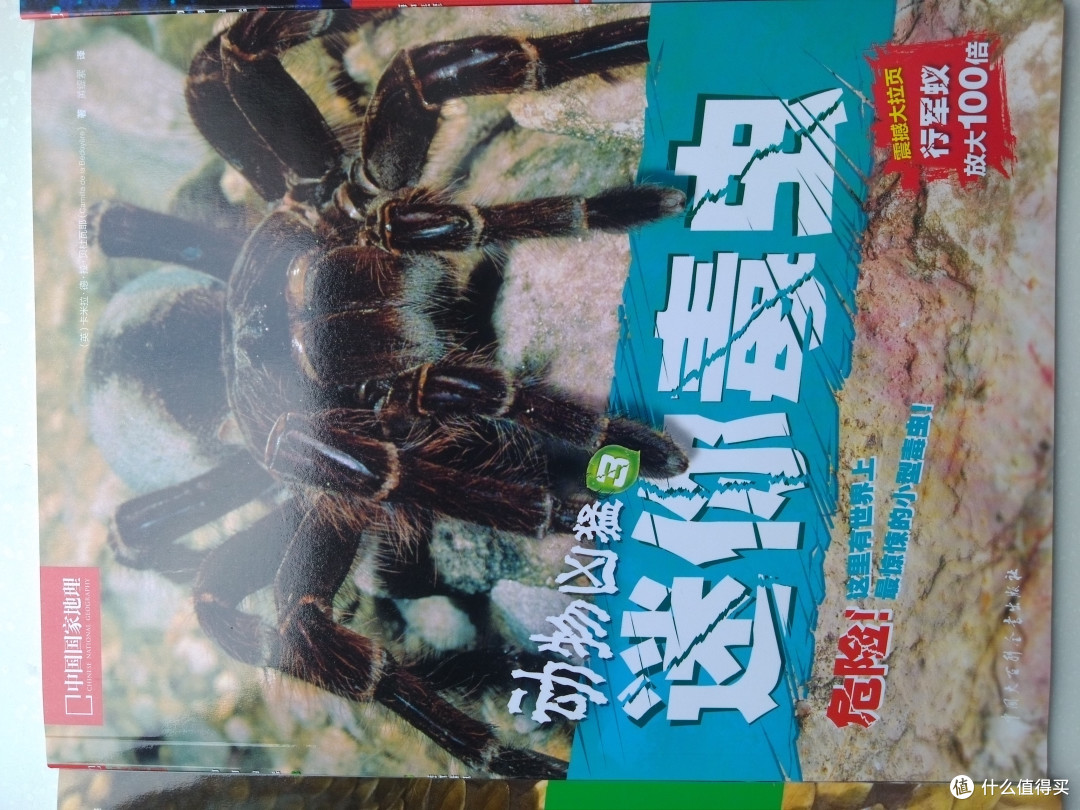 《动物凶猛》评测报告