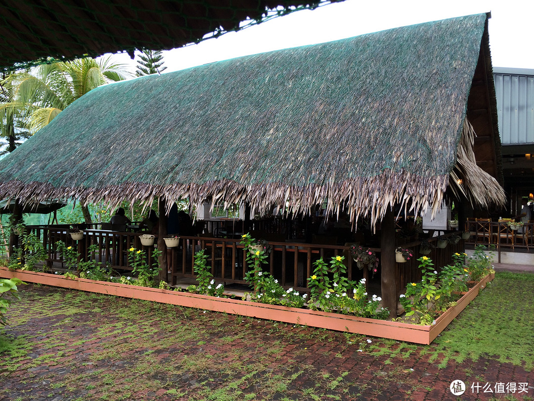 彩虹尽头：Palau 帕劳 旅行游记