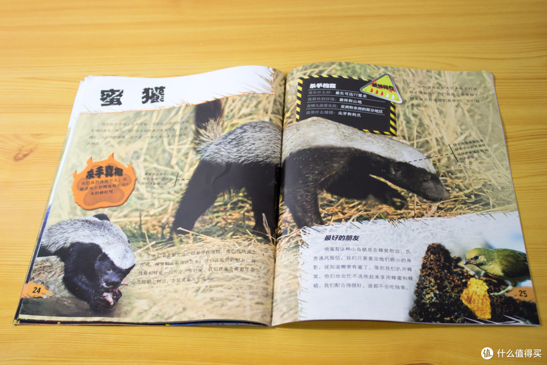 重口味儿童教科书——中国国家地理《动物凶猛》系列图册