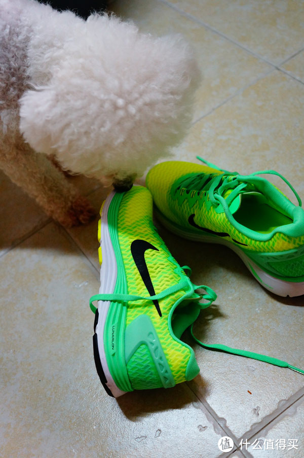 Run baby run  NIKE LUNARGLIDE+ 5 SWIFT 女子跑鞋众测真人兽