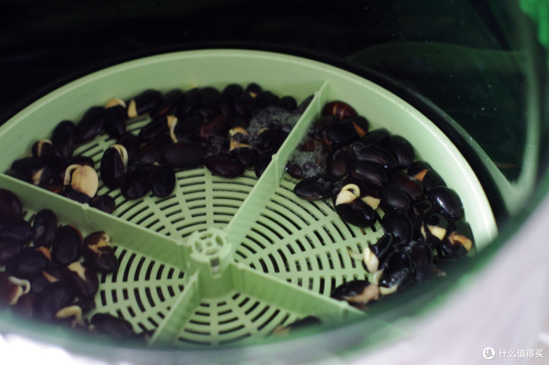 夏天来点健康小豆芽：小熊 DYJ-S6365 豆芽机