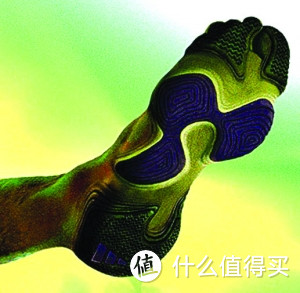 Feet Your Wear，仿生学