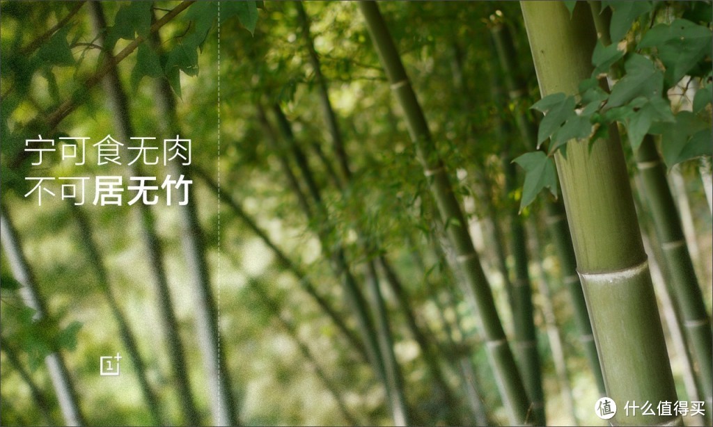 OnePlus 推出一加手机竹质限量版 64GB版2499元