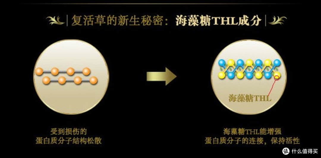 LUX 力士深层修护系列旅行装の感受