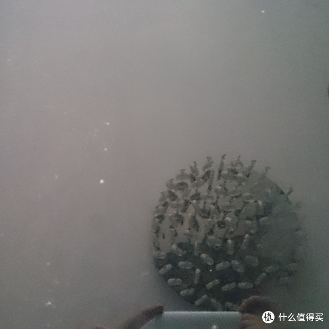 抽中拭镜纸，赶紧入手个单反吧！