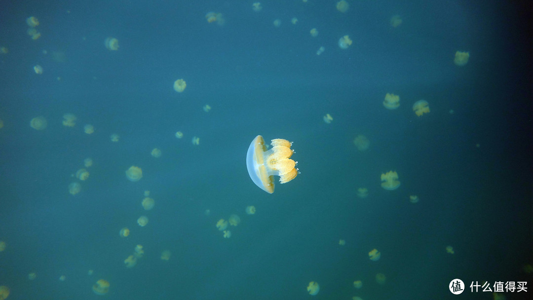 彩虹尽头：Palau 帕劳 旅行游记