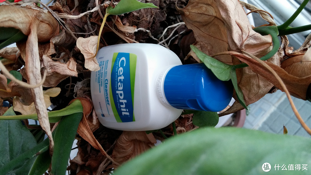 还你一片宁静的脸：Cetaphil 丝塔芙 洁面乳（237ml/118ml）、洗面奶（200ml）现形记，内有高能真人兽