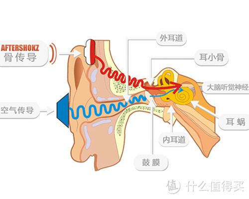 值得一试的众测品AfterShokz 韶音 Sportz M3 骨传导蓝牙耳机