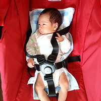 Peg Perego Pliko mini 婴儿手推车