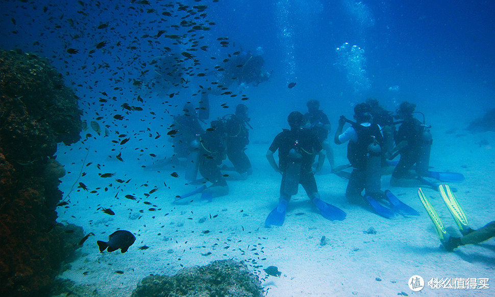 Scuba Diving 水肺潜水入门攻略 — 开启另一扇全新世界的大门