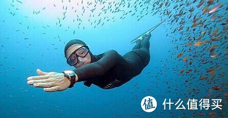 Scuba Diving 水肺潜水入门攻略 — 开启另一扇全新世界的大门