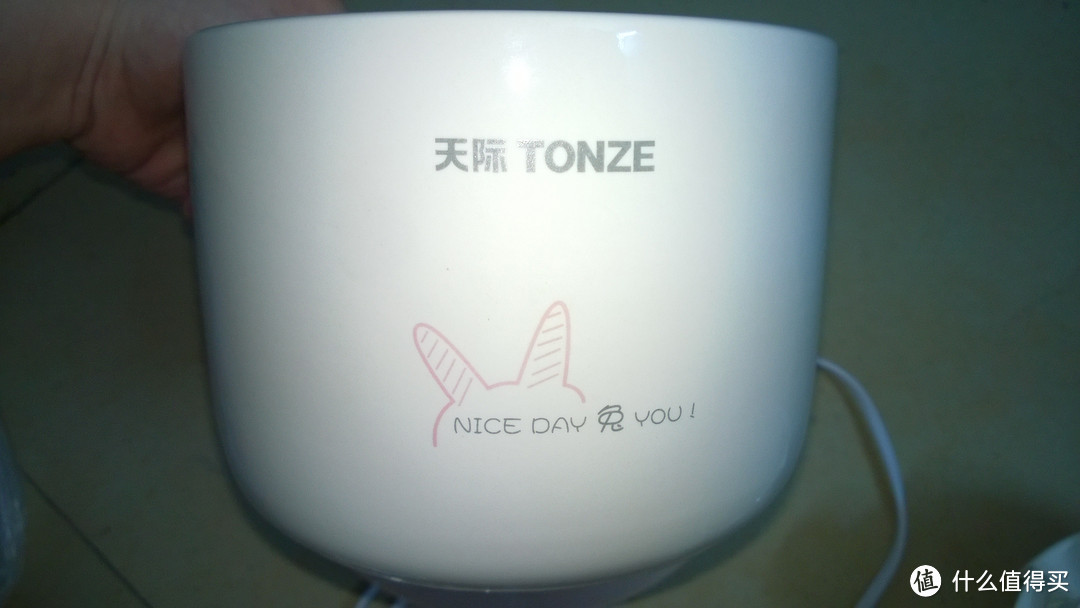 拖延症患者的第一篇晒单——TONZE 天际 SNJ-W102 兔子 酸奶面膜机试用评测