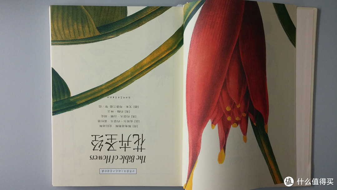 惊艳一瞥，刹那间繁华——《世界最伟大的花卉图谱:花卉圣经》
