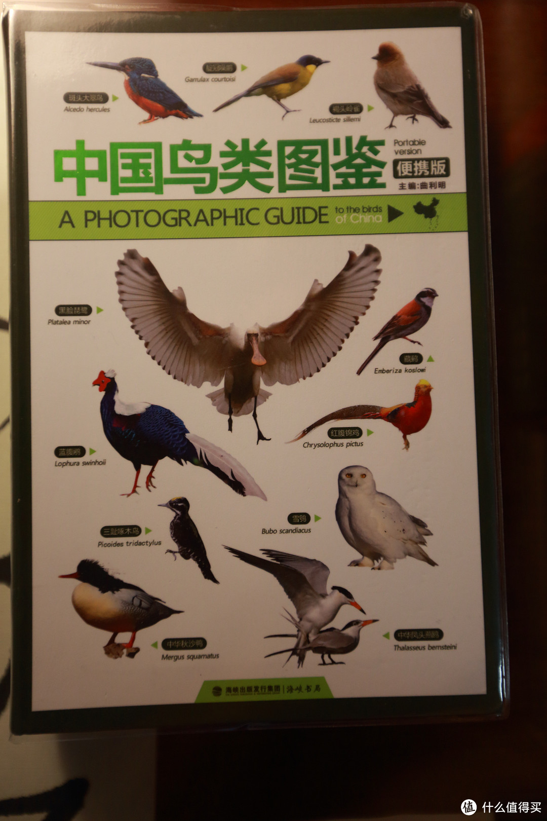 那些鸟类图鉴（中文）