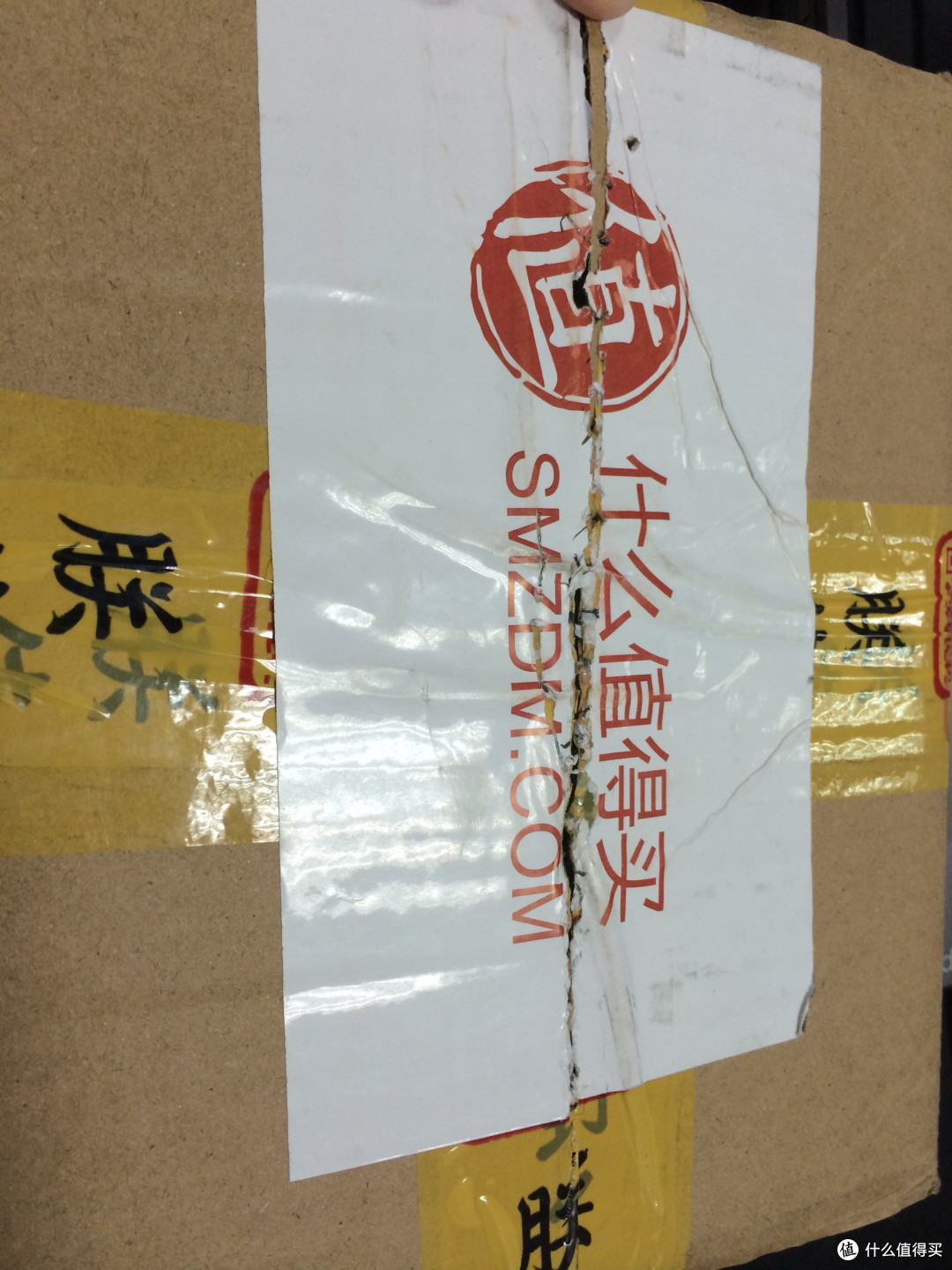 带着多芬去旅行!~