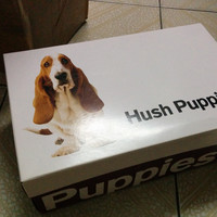 暇步士 Accel MT 男款真皮休闲鞋外观展示(鞋边|鞋垫|内里)