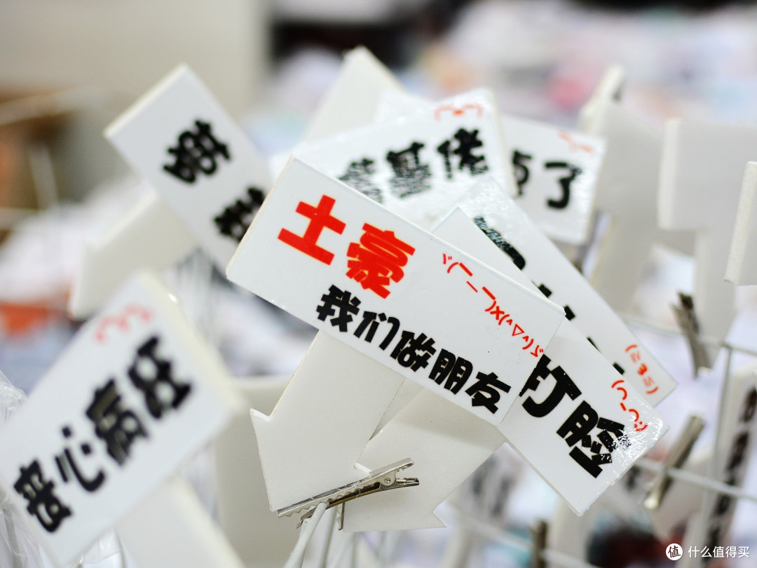 2014中国(沈阳)动漫电玩博览会掠影,内有大量萌妹纸