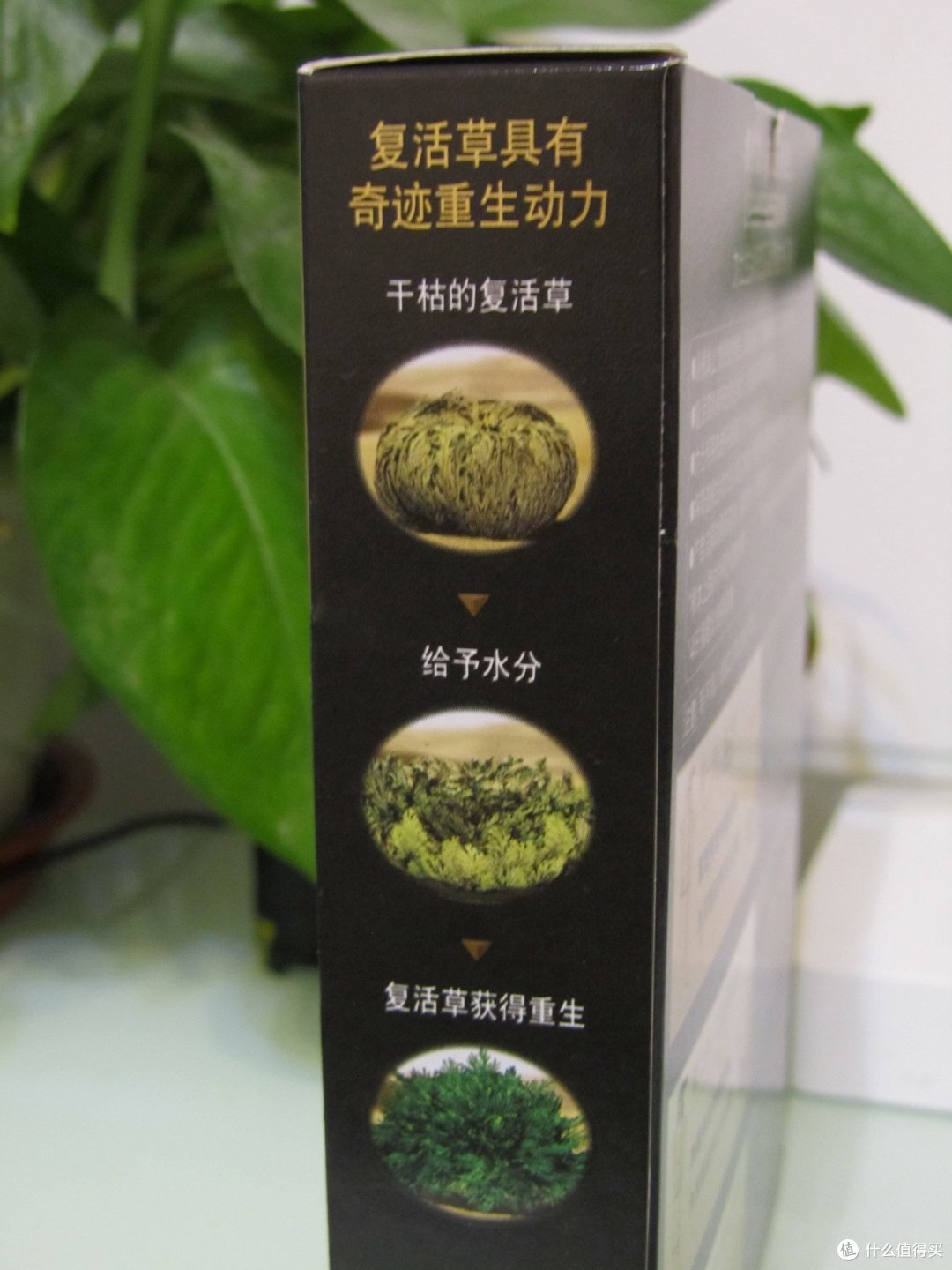 LUX 力士 生命奇迹 深层修护系列 旅行装 评测