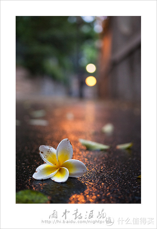 邻家女孩般的小微：PENTAX 宾得 DA35/2.8 Macro Limited 微距镜头