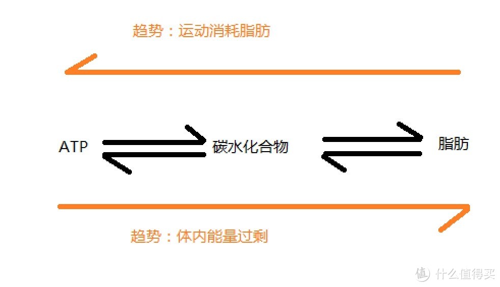 健康的身体才是最大的奢侈品：掌握自己的身体状态后合理制定减肥计划