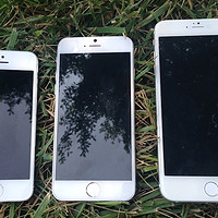 传 Apple 苹果临时调整屏幕设计 恐影响 iPhone 6 发布时间