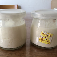 买椟送珠：买酸奶发酵剂 赠送的 佰生优 BSY-10A 酸奶机