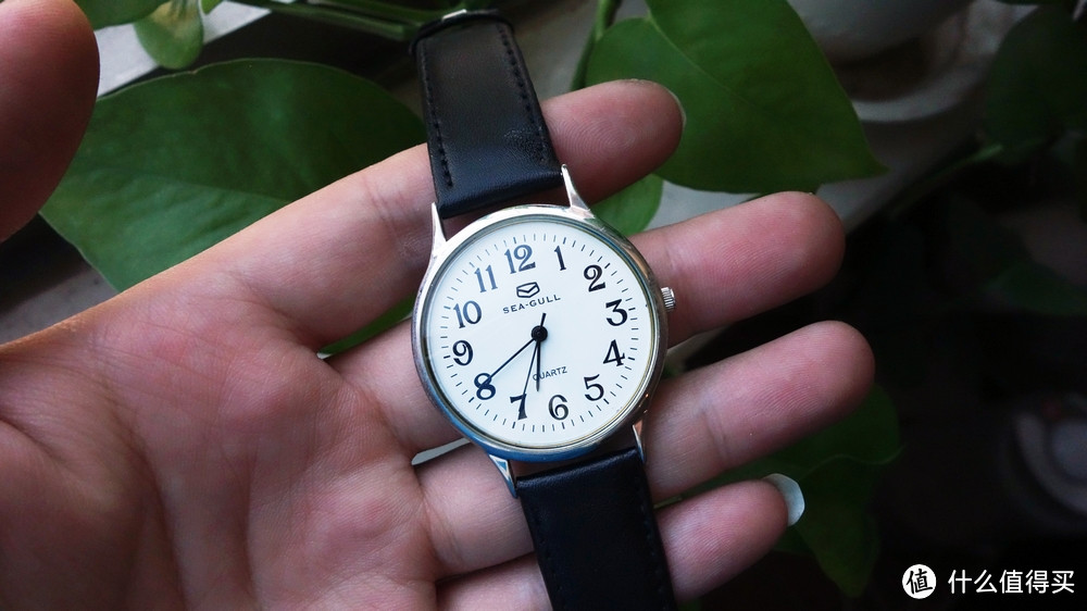 低端手表展销会：长文纪念陪我度过漫漫时光的这些手表