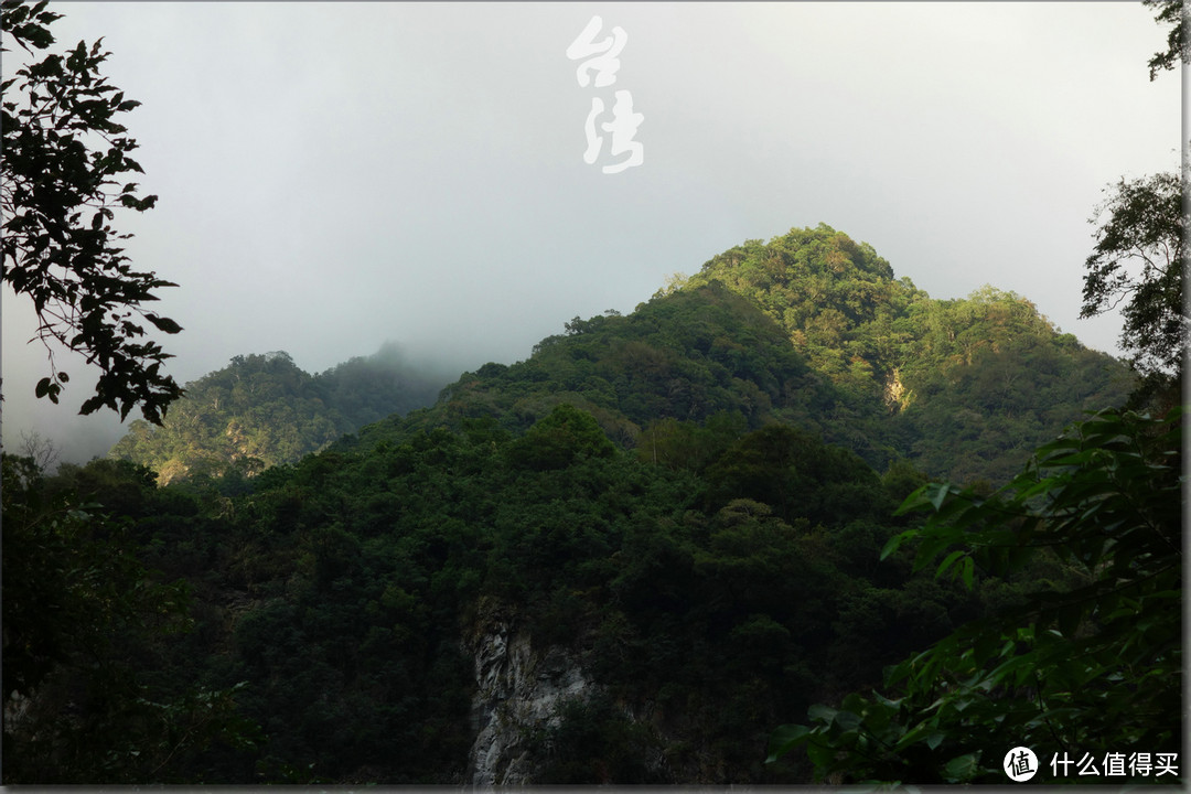 意外的旅行：台湾八日游