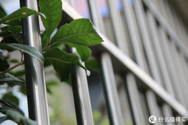 日亚购入 SIGMA 适马 17-50\/2.8 EX DC OS H