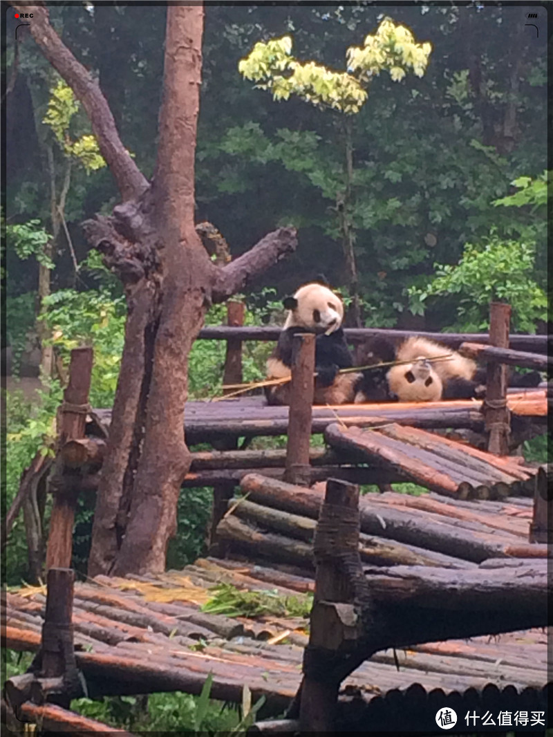 旅行的驿站，生命的港湾，怡老的天堂，难忘的蓉城