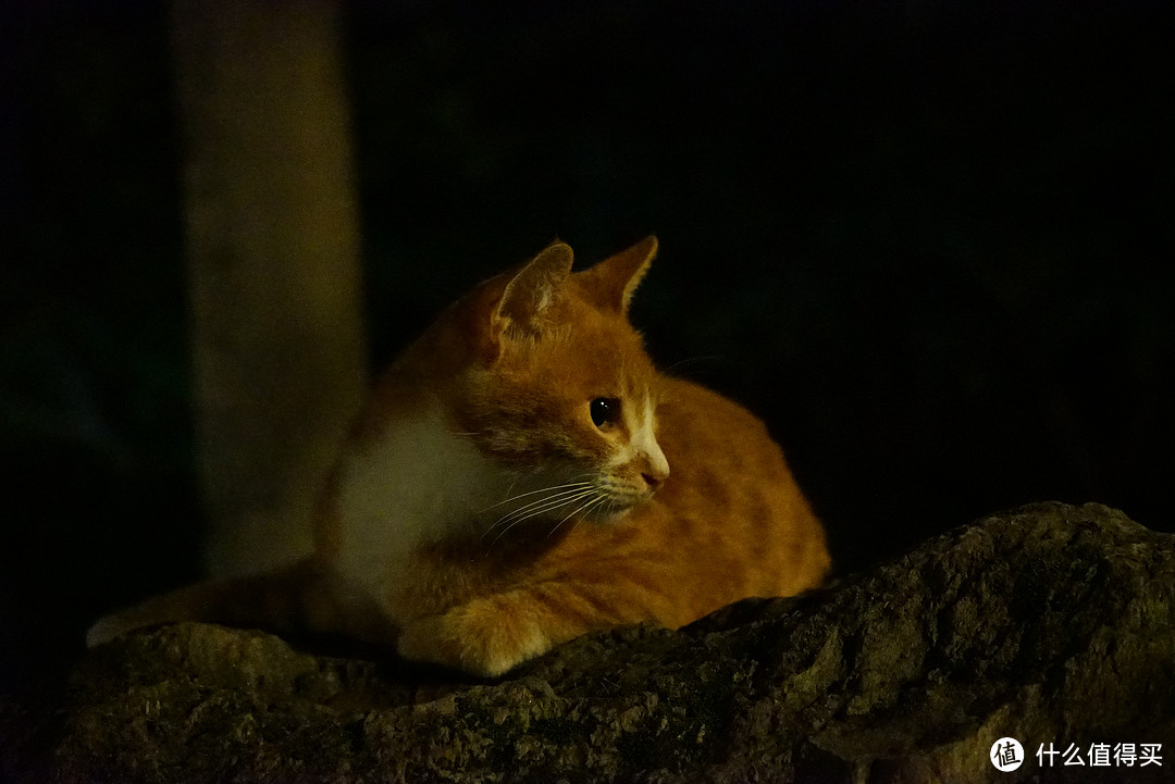 晚上它是这样 f/5.6 快门1/30 ISO 512000