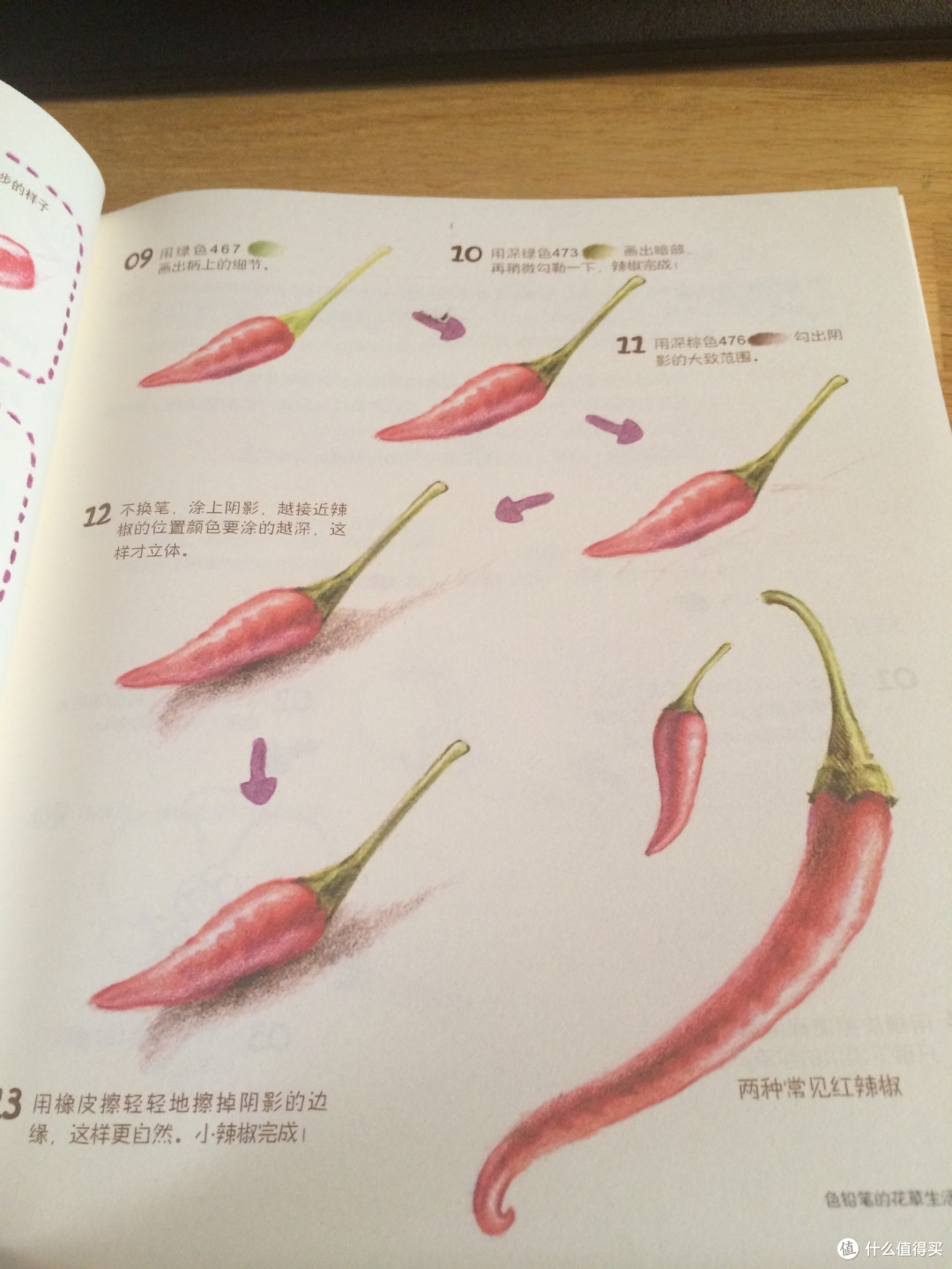 我的新玩具:MARCO 马可 雷诺阿彩色铅笔