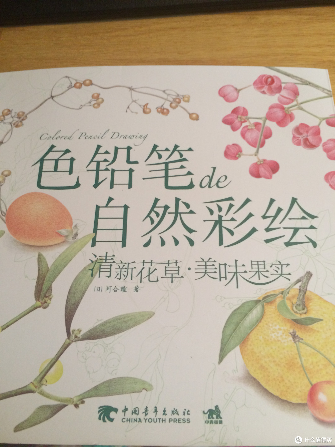 我的新玩具:MARCO 马可 雷诺阿彩色铅笔