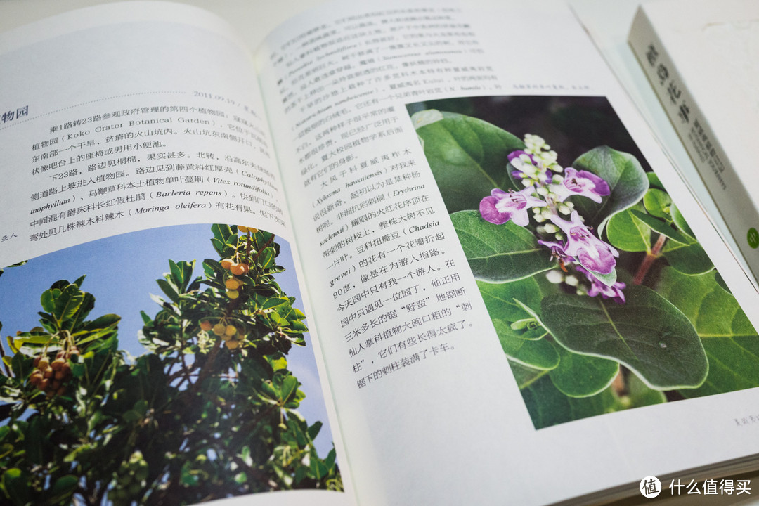 《花卉圣经》&《檀岛花事：夏威夷植物日记》，还有我自己养的一些植物与心得