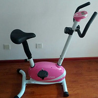 SUNNY HEALTH & FITNESS SF-P8200 静音磁控 家用坐式皮带健身车