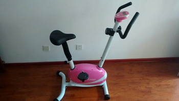 SUNNY HEALTH & FITNESS SF-P8200 静音磁控 家用坐式皮带健身车