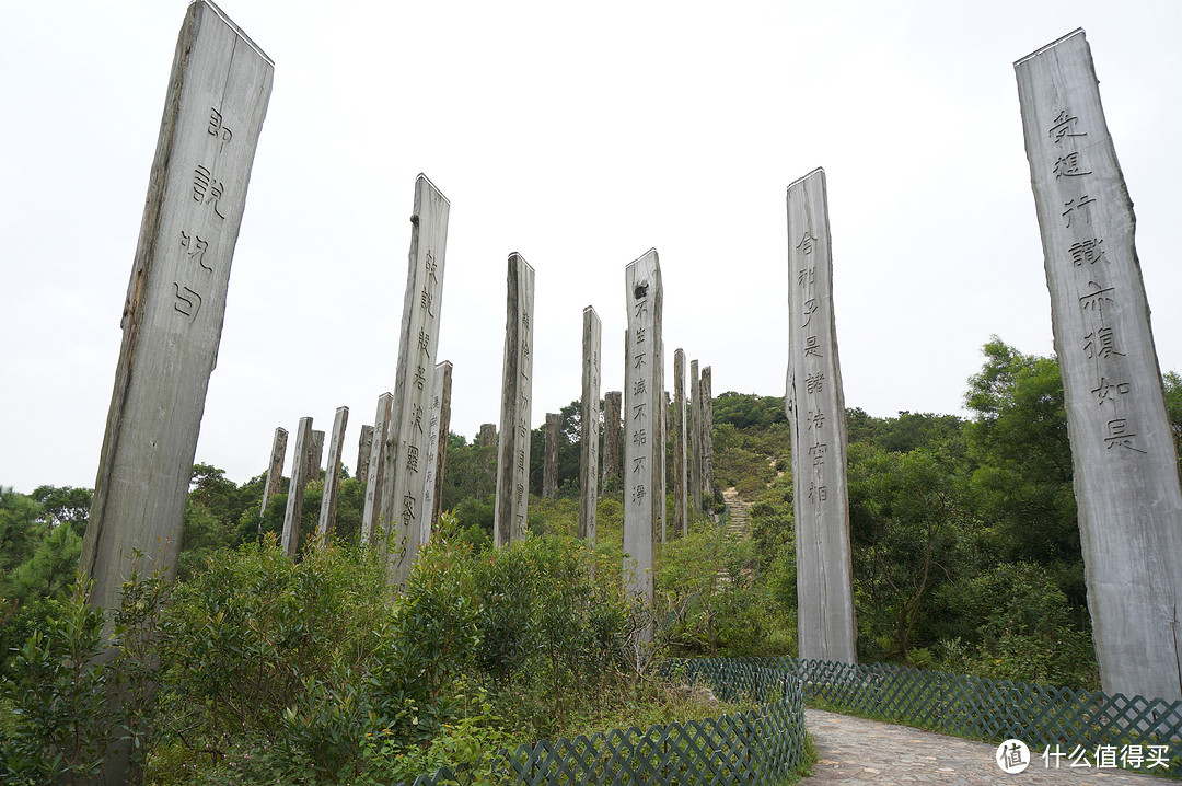 不一样的HK：香港2日1夜自由行（大屿山，天坛大佛，大澳，梅窝，浅水湾，赤柱）