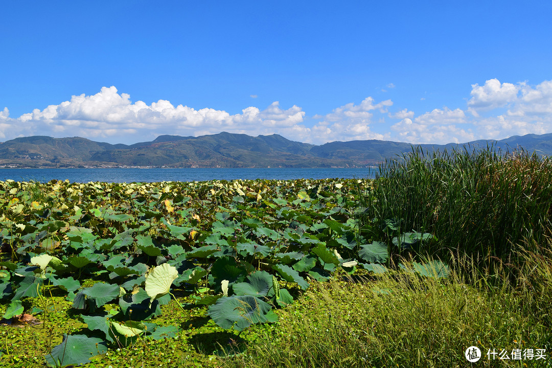 抚仙湖骑行记：一个人、一次说走就走的旅行