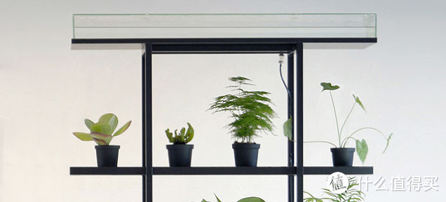 花最少时间养最健康的花：荷兰创业公司推自动浇水花架 Pikaplant One