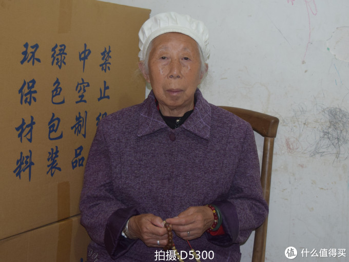 从Nikon 尼康 D3100 到 D5300：用图说话，入门级升级到入门级是否值得？