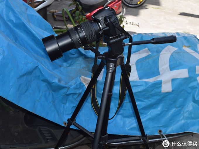 从Nikon 尼康 D3100 到 D5300：用图说话，入门级升级到入门级是否值得？