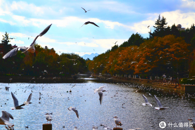 从Nikon 尼康 D3100 到 D5300：用图说话，入门级升级到入门级是否值得？