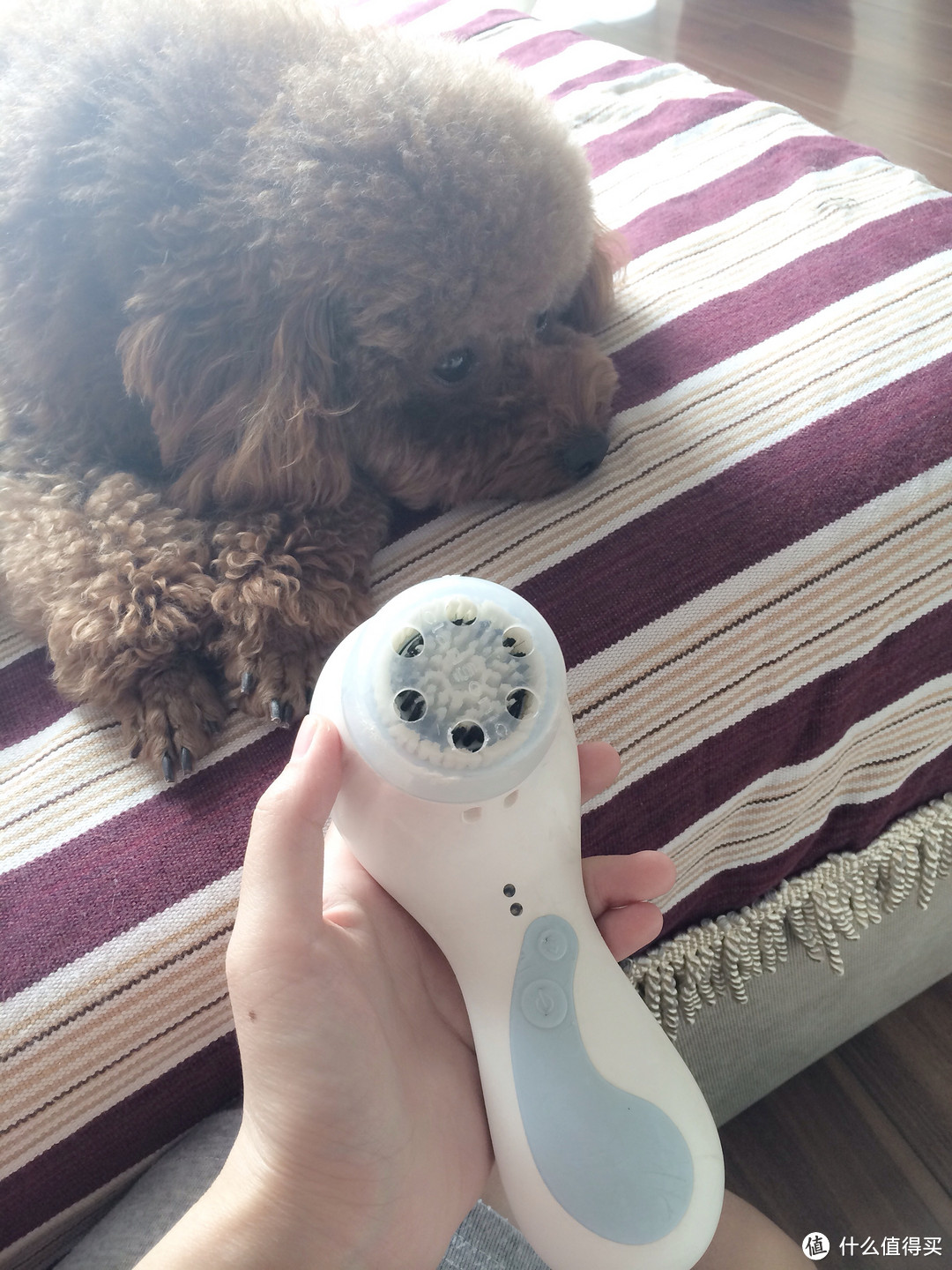 Clarisonic Pro 超声波洗脸刷洁面仪 4代一年使用心得