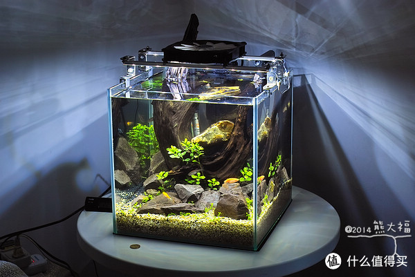 一缸一世界，让我们开灯点亮那个世界吧：DIY鱼缸如何打造LED照明