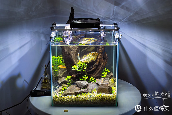 一缸一世界，让我们开灯点亮那个世界吧：DIY鱼缸如何打造LED照明