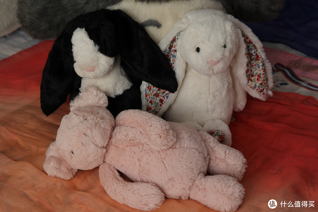 两只兔子和一只猪的故事：海淘 Jellycat 毛绒玩具