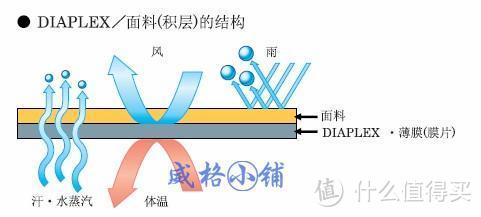 Golden Bear Diaplex防水立领中山装/日式正装